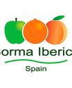 Sorma iberica, s.a.