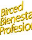 Birced consulting sl