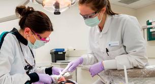 El papel esencial de un asistente dental: más allá de la sonrisa