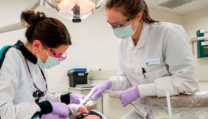 El papel esencial de un asistente dental: más allá de la sonrisa
