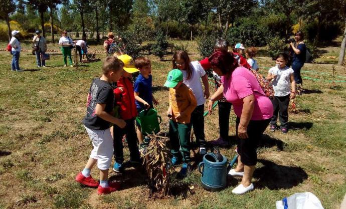 gestor de actividades al aire libre